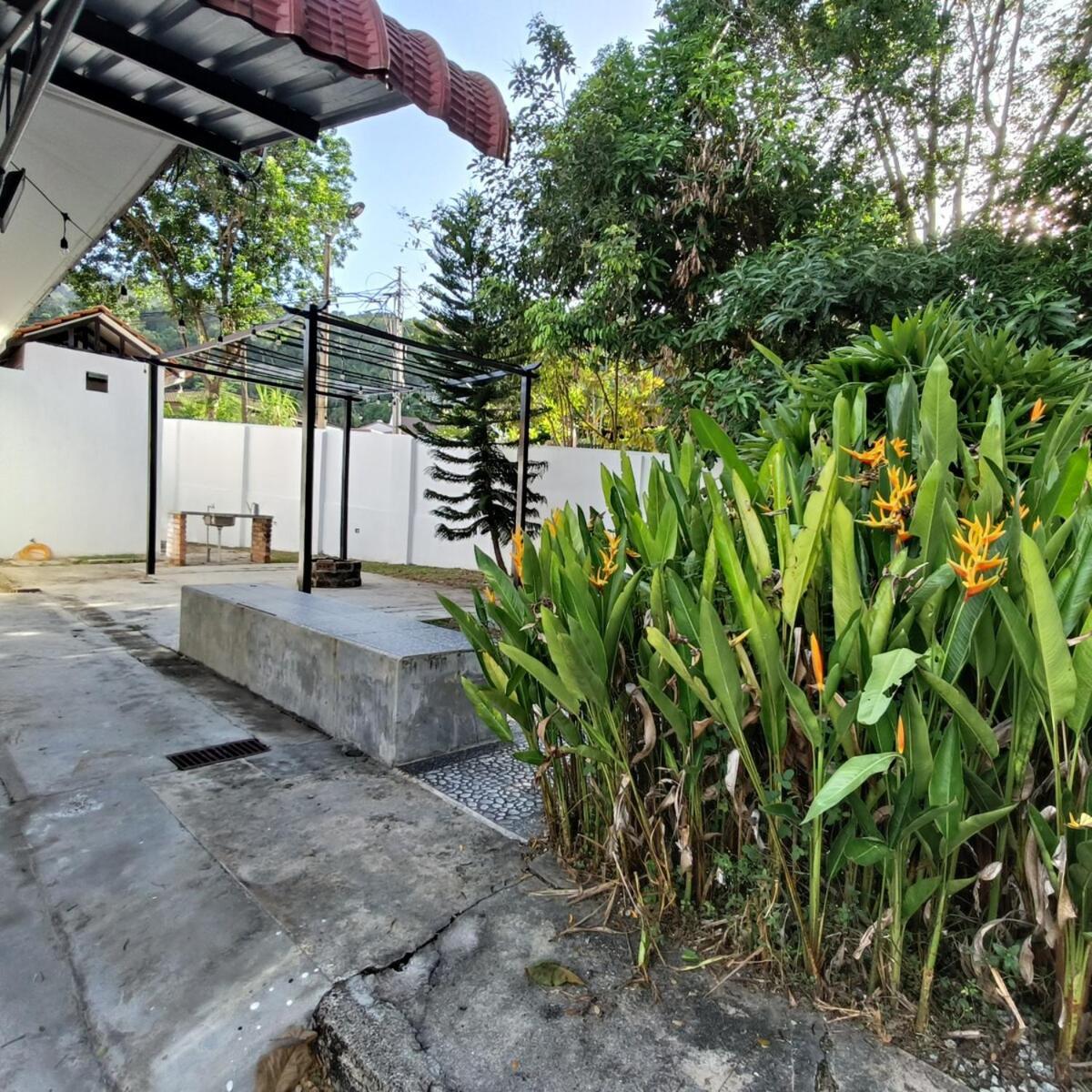 Tg103A Pet Friendly 15Pax, Near Beach Side Tanjung Bungah  Buitenkant foto